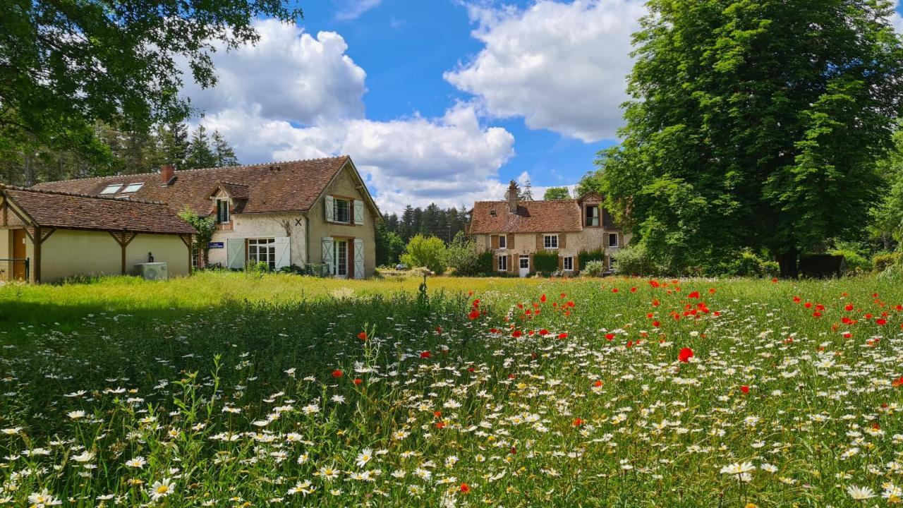 Chambres D'Hotes Le Moulin De Crouy ภายนอก รูปภาพ